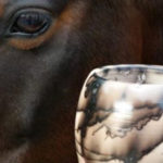horse-eye-pot_cropped